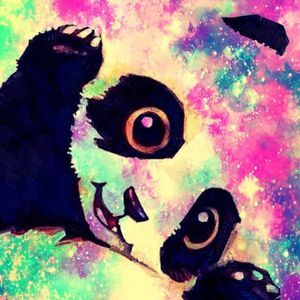 Meet your Posher, Nevaeh